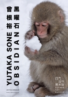 Sifang Art Museum, Nanjing