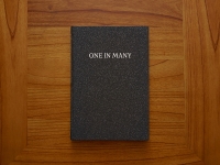 Chinese design for Brochure